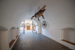 Stará radnice - Brněnský drak