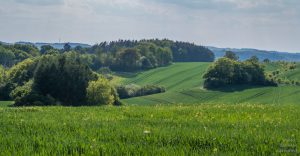 Mikešova cesta - Krásné vyhlídky