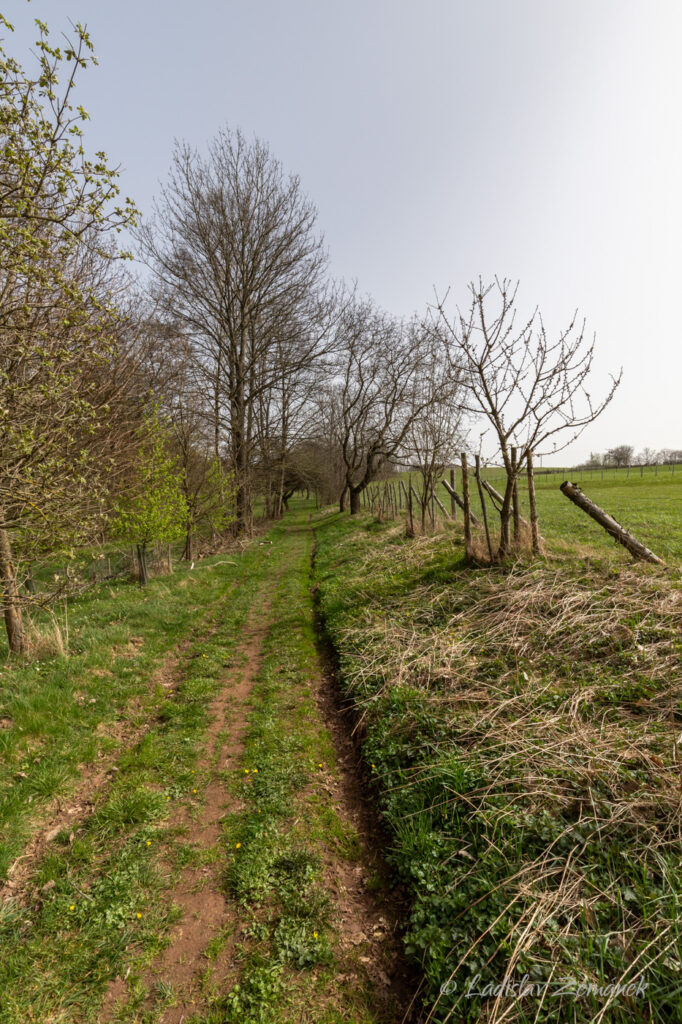 Nové Město nad Metují - Libchyně