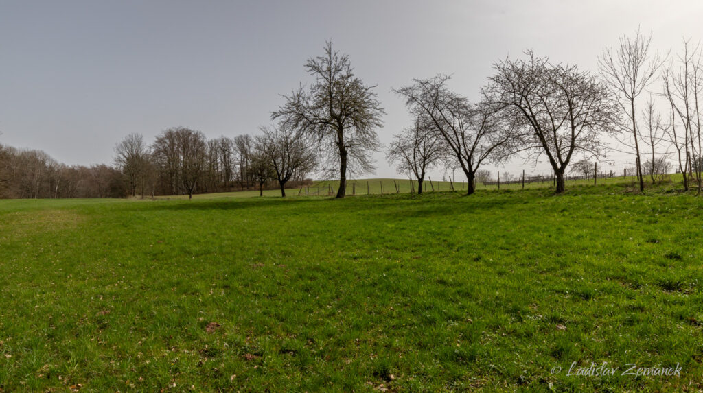 Nové Město nad Metují - Libchyně