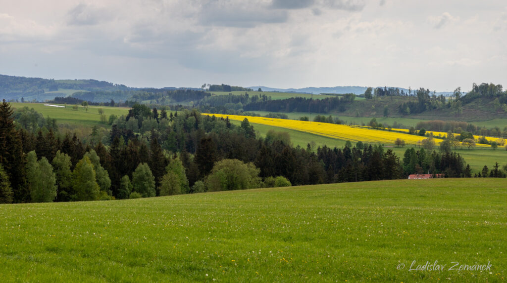 Broumovské stěny