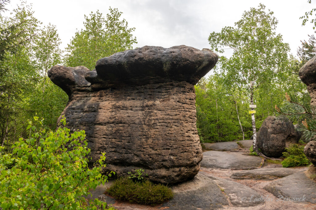 Broumovské stěny - Kamenné hřiby