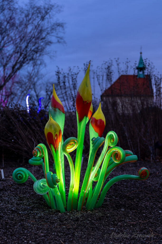 skleněné květiny - Křišťálová zahrada (Jiří Pačinek) v Botanické zahradě Praha