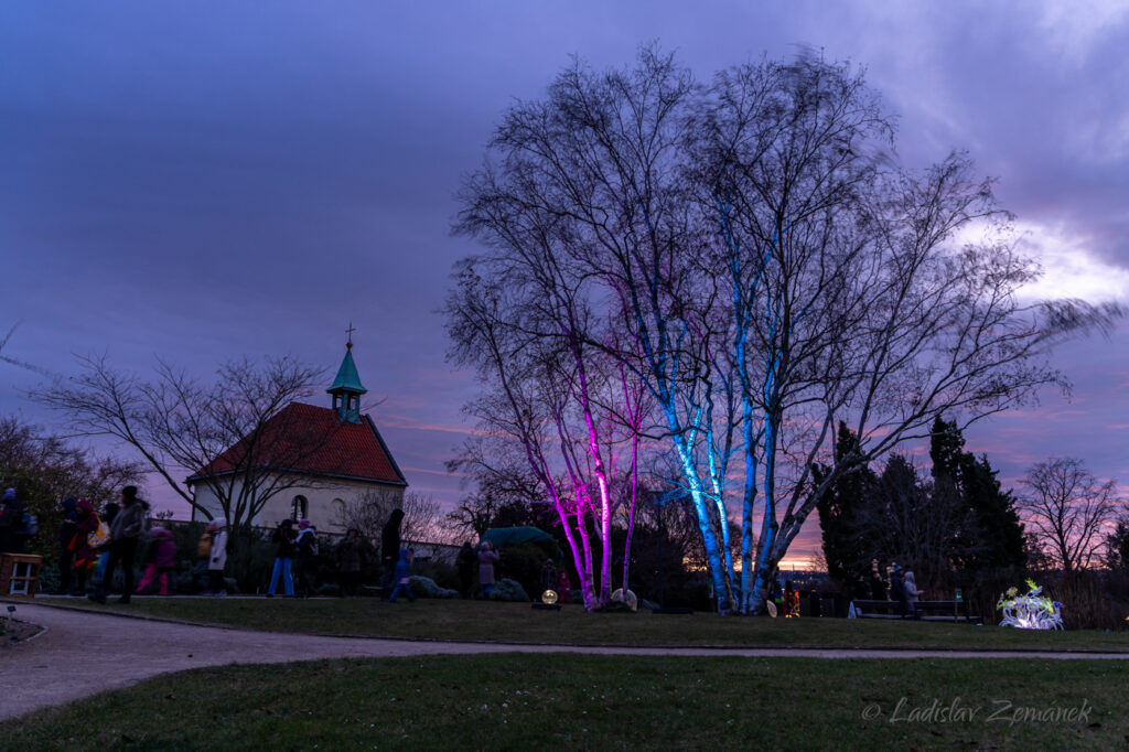 expozice Křišťálová zahrada (Jiří Pačinek) v Botanické zahradě Praha