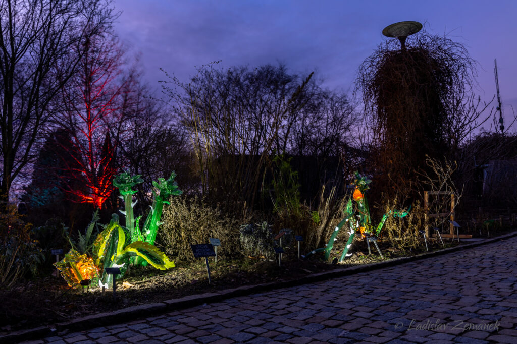 skleněné květiny - Křišťálová zahrada (Jiří Pačinek) v Botanické zahradě Praha