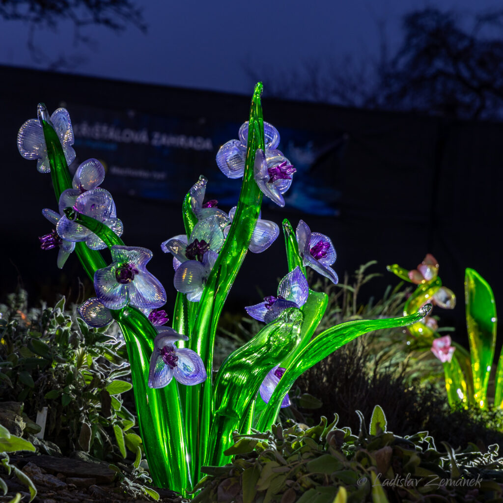 skleněné květiny - Křišťálová zahrada (Jiří Pačinek) v Botanické zahradě Praha