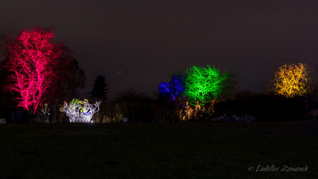 expozice Křišťálová zahrada (Jiří Pačinek) v Botanické zahradě Praha