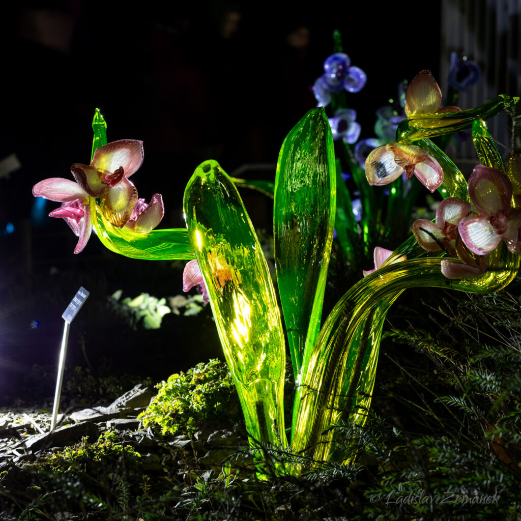 skleněné květiny - Křišťálová zahrada (Jiří Pačinek) v Botanické zahradě Praha