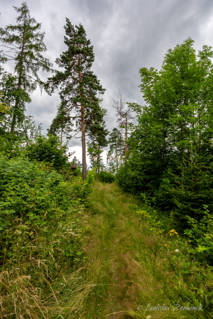 Sušice - cesta na Krásnou vyhlídku