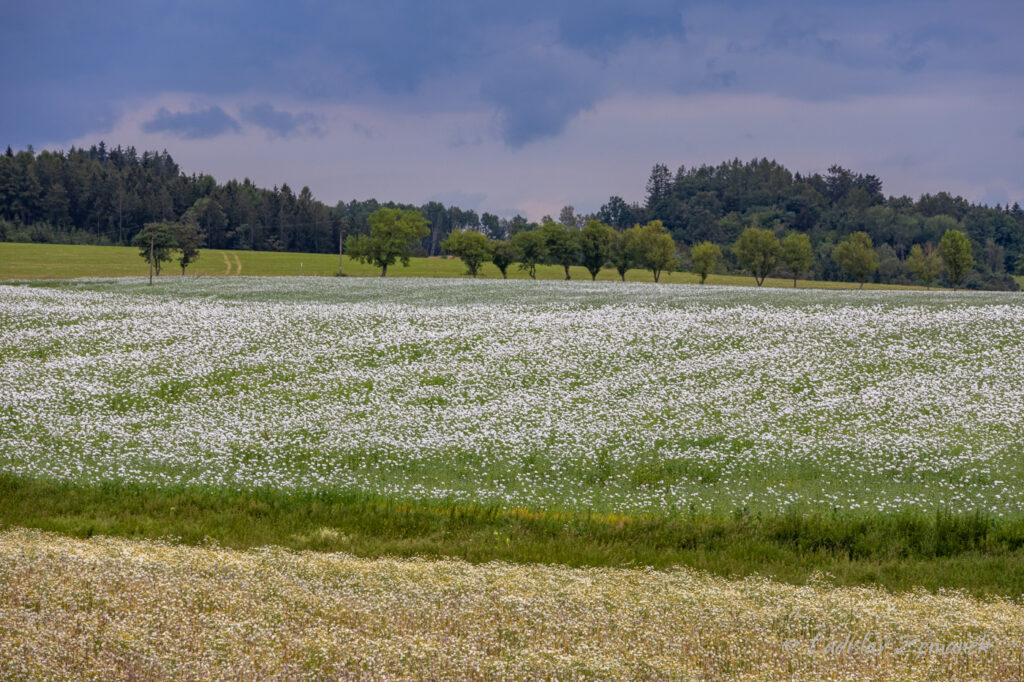 Přírodní park Plánický hřeben