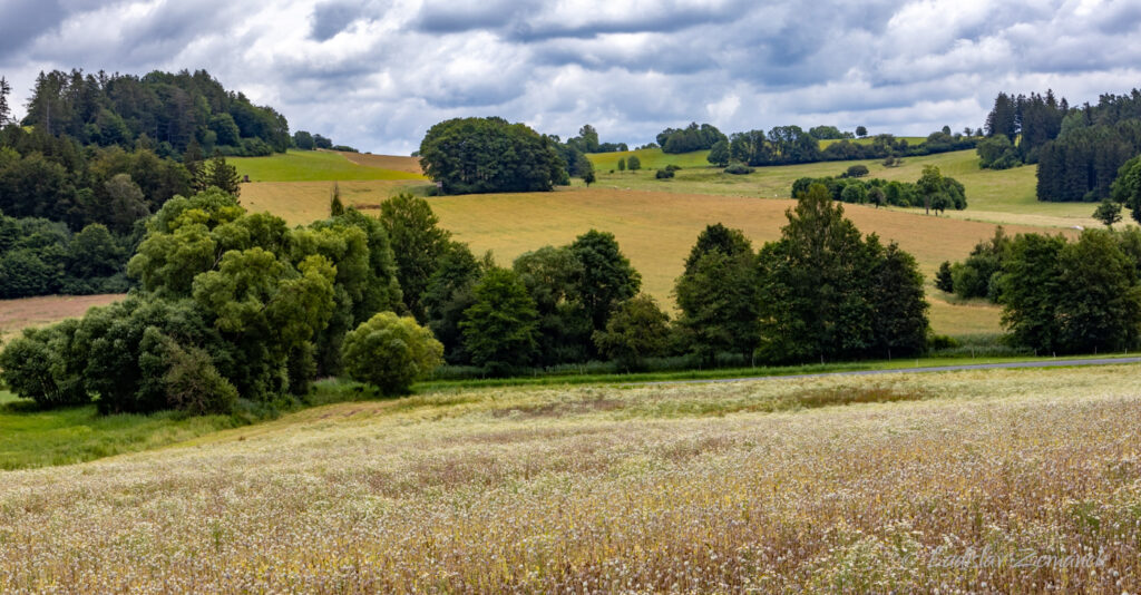 Přírodní park Plánický hřeben