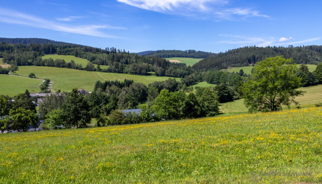 Petrovice u Sušice - okolní krajina