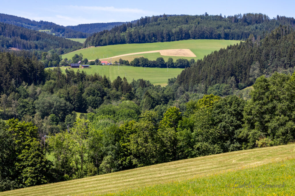 Petrovice u Sušice - okolní krajina