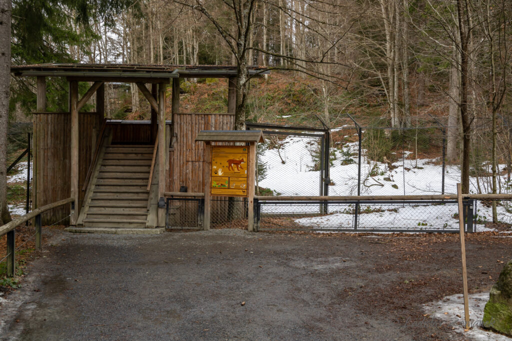 Nationalparkzentrum Lusen - výběh pro rysy s vyhlídkou