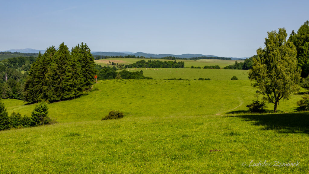 Adr&scaron;pa&scaron;sko-teplick&eacute; sk&aacute;ly - cesta z Janovic