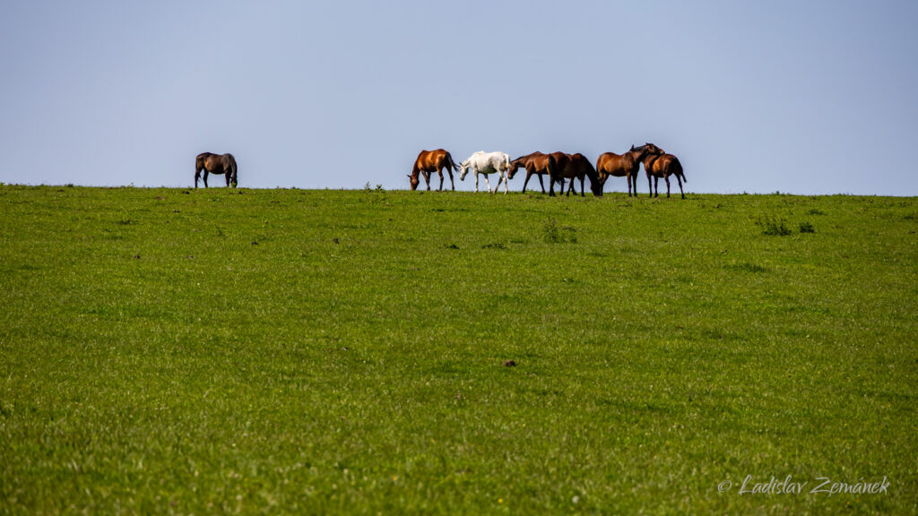 Adr&scaron;pa&scaron;sko-teplick&eacute; sk&aacute;ly - cesta z Janovic
