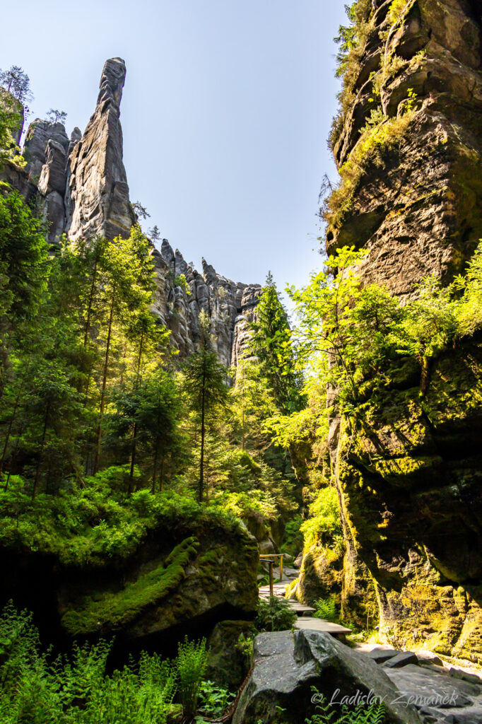 Adr&scaron;pa&scaron;sko-teplick&eacute; sk&aacute;ly