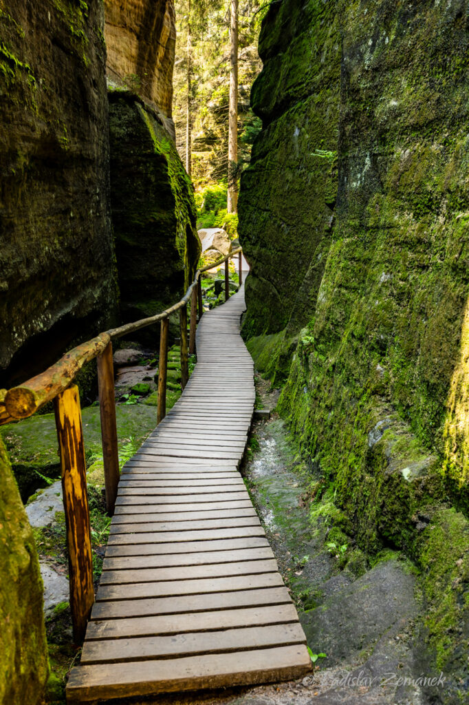 Adr&scaron;pa&scaron;sko-teplick&eacute; sk&aacute;ly