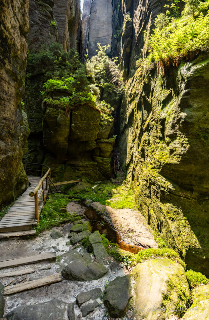 Adr&scaron;pa&scaron;sko-teplick&eacute; sk&aacute;ly