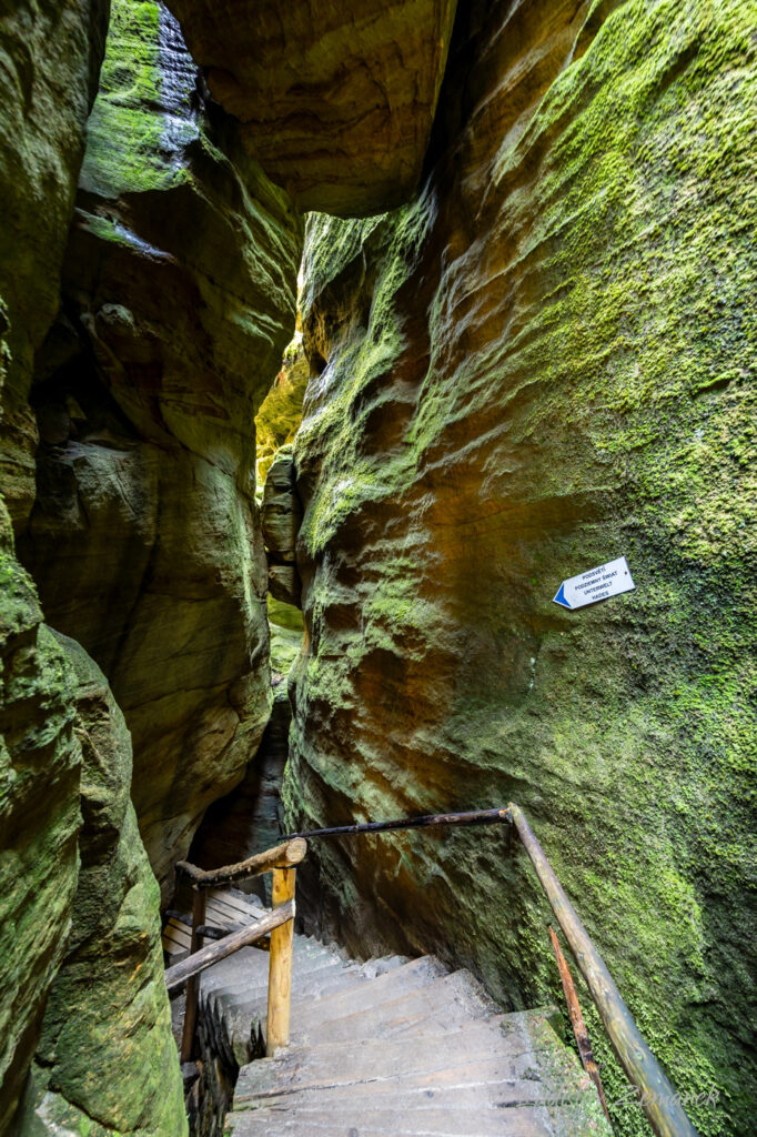 Adr&scaron;pa&scaron;sko-teplick&eacute; sk&aacute;ly