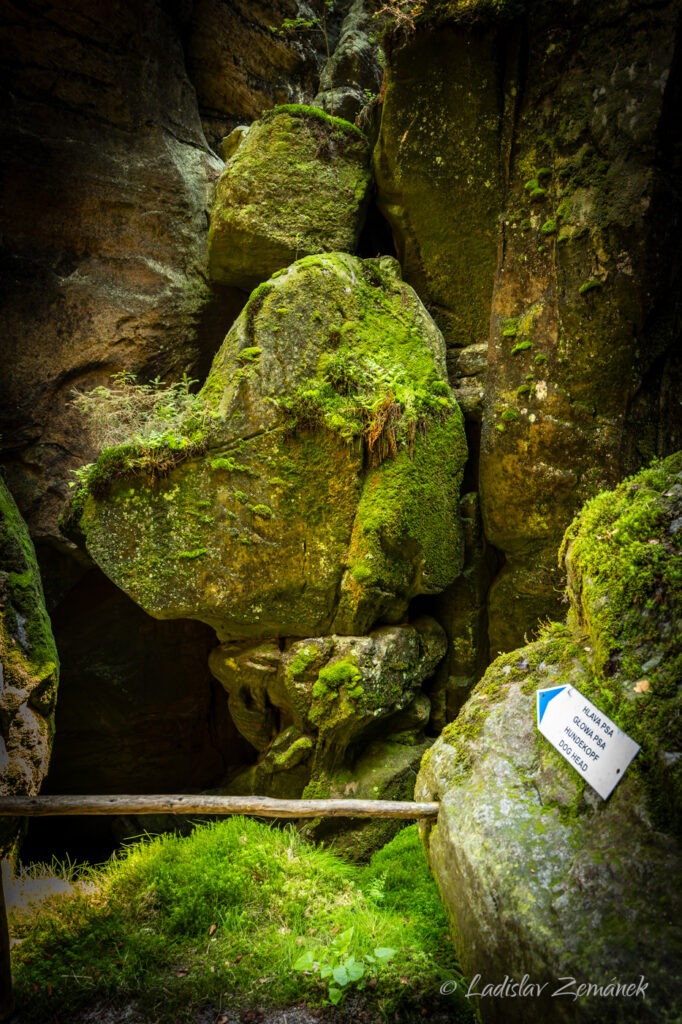 Adr&scaron;pa&scaron;sko-teplick&eacute; sk&aacute;ly