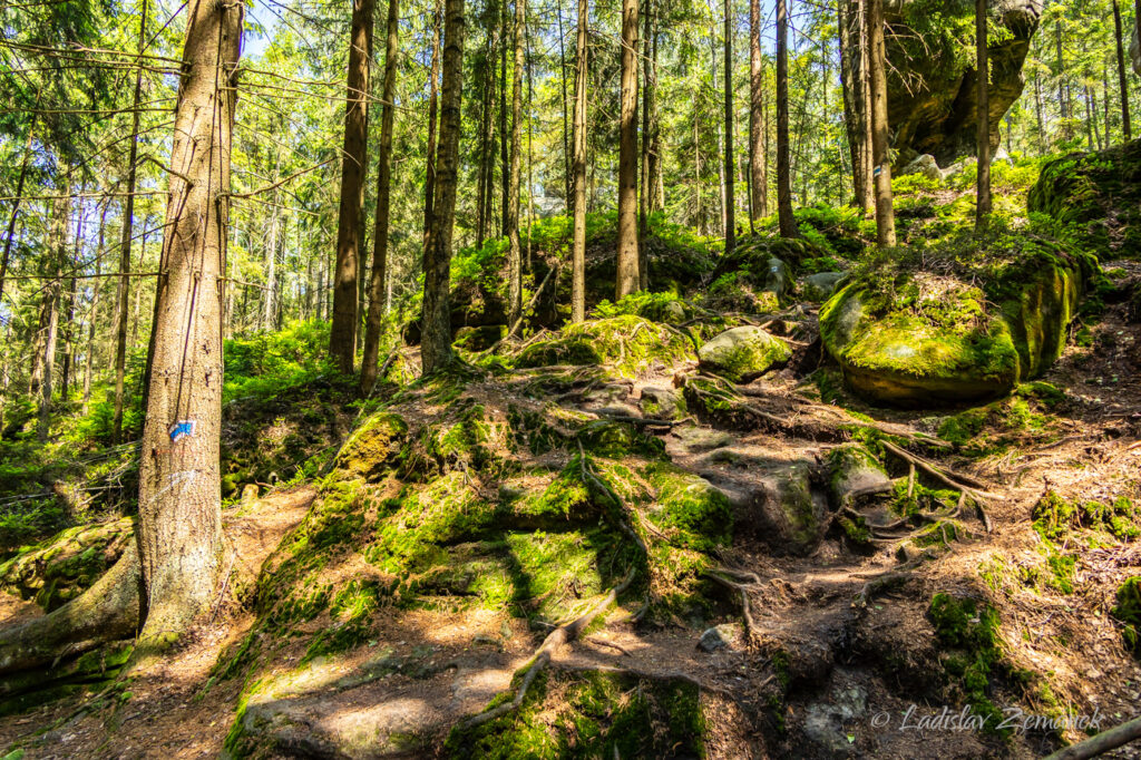 Adr&scaron;pa&scaron;sko-teplick&eacute; sk&aacute;ly