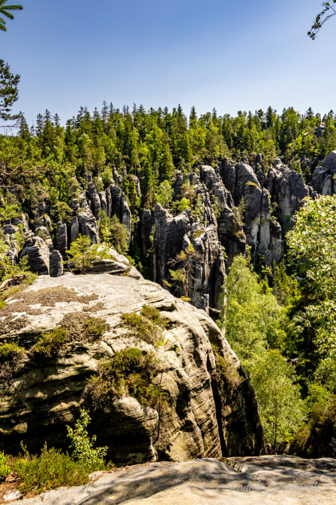 Adr&scaron;pa&scaron;sko-teplick&eacute; sk&aacute;ly
