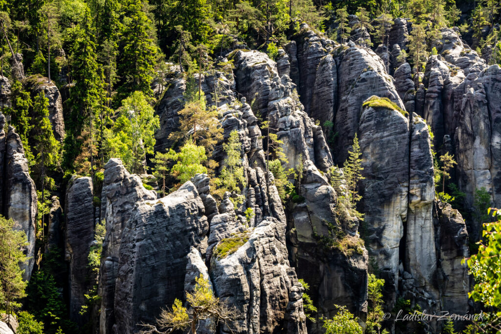 Adr&scaron;pa&scaron;sko-teplick&eacute; sk&aacute;ly