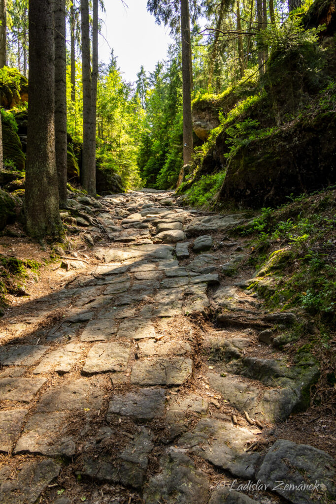 Adr&scaron;pa&scaron;sko-teplick&eacute; sk&aacute;ly