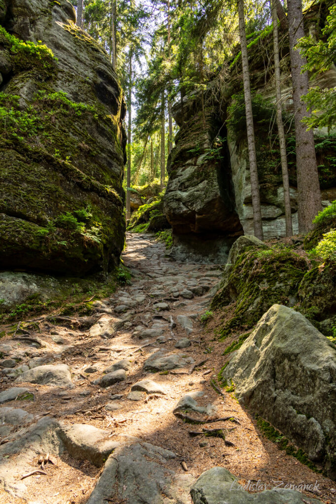 Adr&scaron;pa&scaron;sko-teplick&eacute; sk&aacute;ly