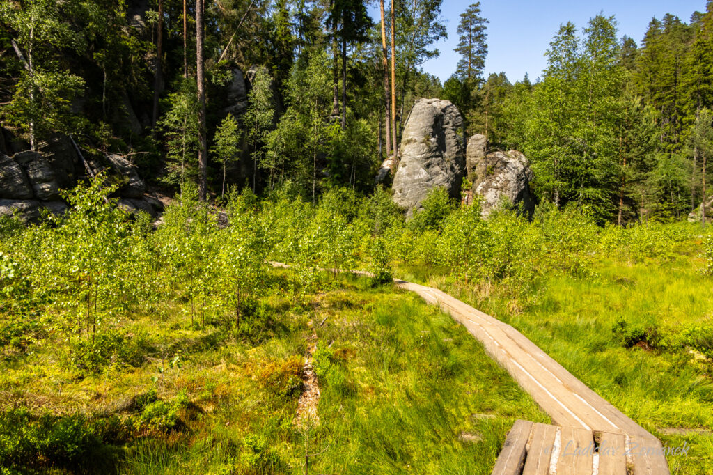 Adr&scaron;pa&scaron;sko-teplick&eacute; sk&aacute;ly