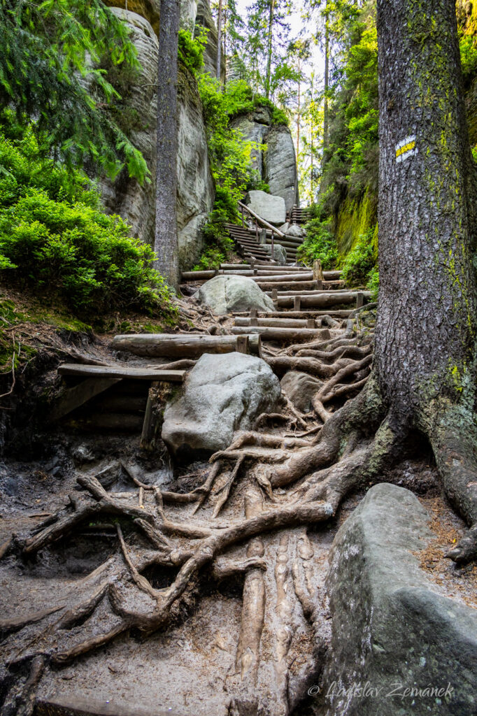 Adr&scaron;pa&scaron;sko-teplick&eacute; sk&aacute;ly