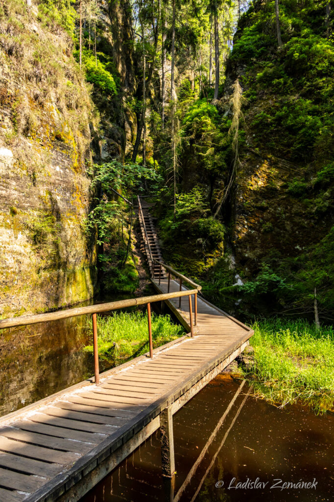 Adr&scaron;pa&scaron;sko-teplick&eacute; sk&aacute;ly