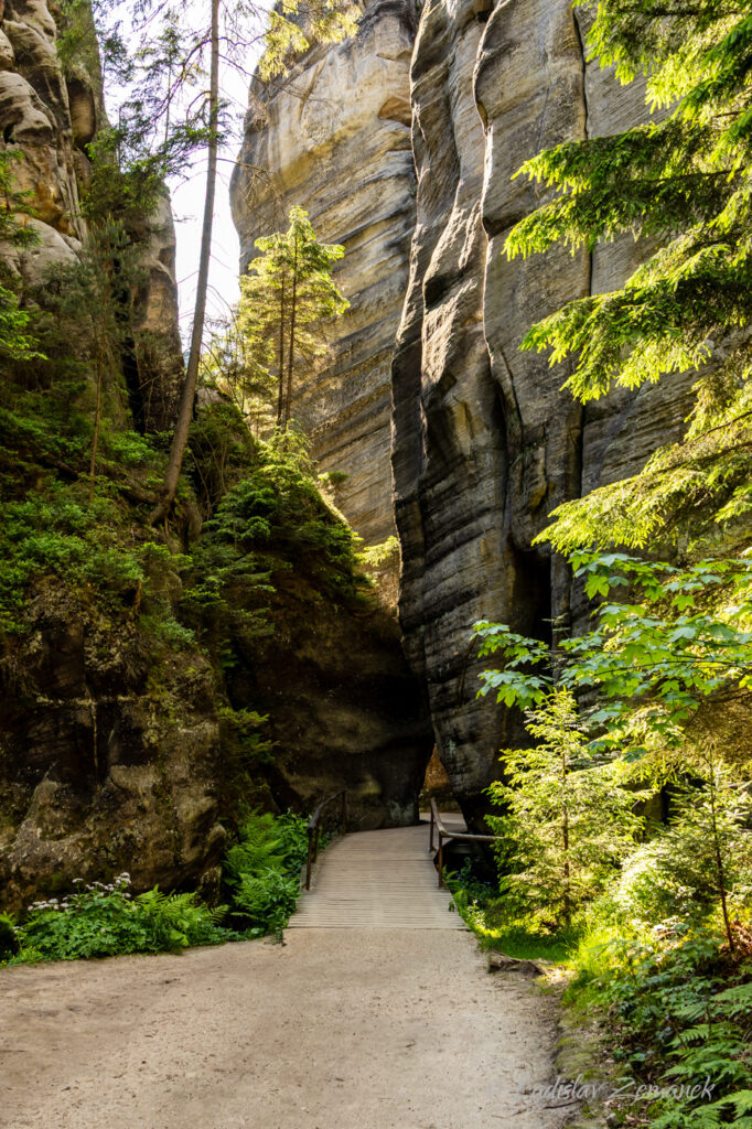 Adr&scaron;pa&scaron;sko-teplick&eacute; sk&aacute;ly