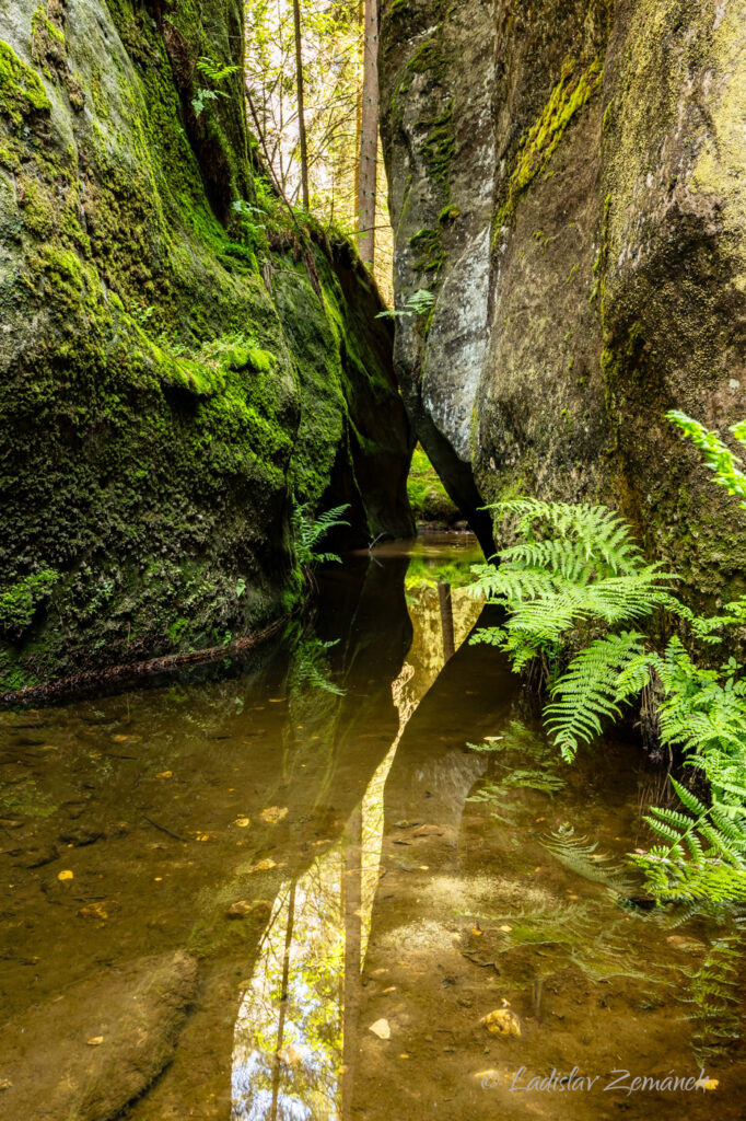 Adr&scaron;pa&scaron;sko-teplick&eacute; sk&aacute;ly