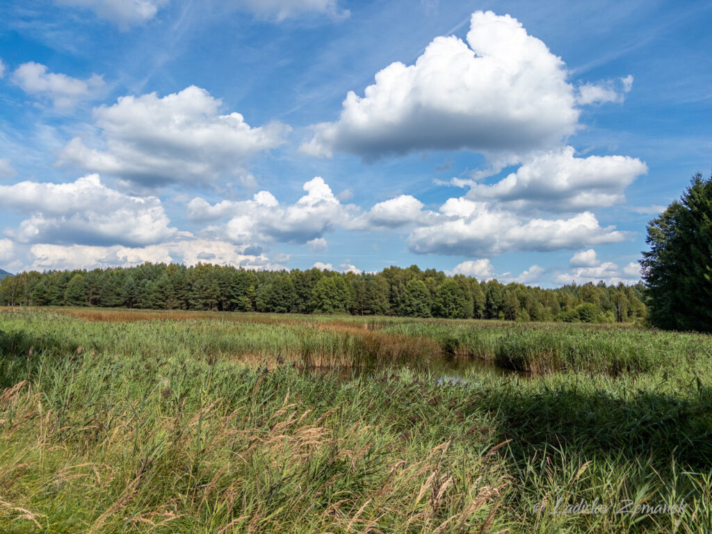 Vavrou&scaron;kův rybn&iacute;k