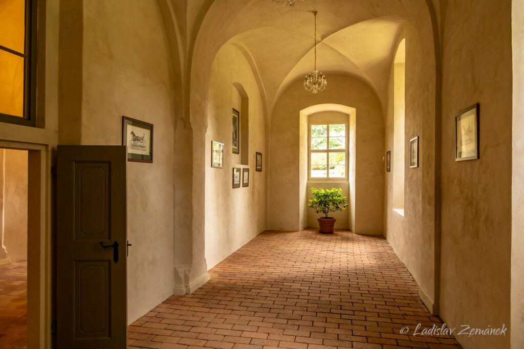 Z&aacute;mek Z&aacute;kupy