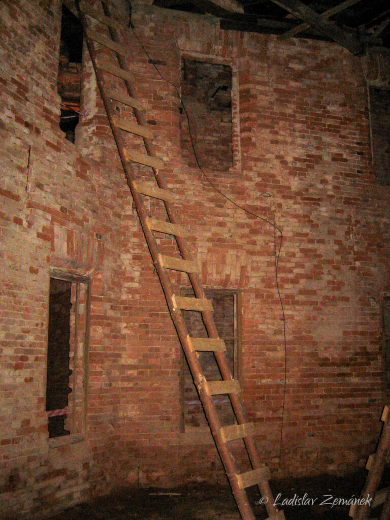 2010 - Česk&yacute; Rudolec - prohl&iacute;dka z&aacute;mku