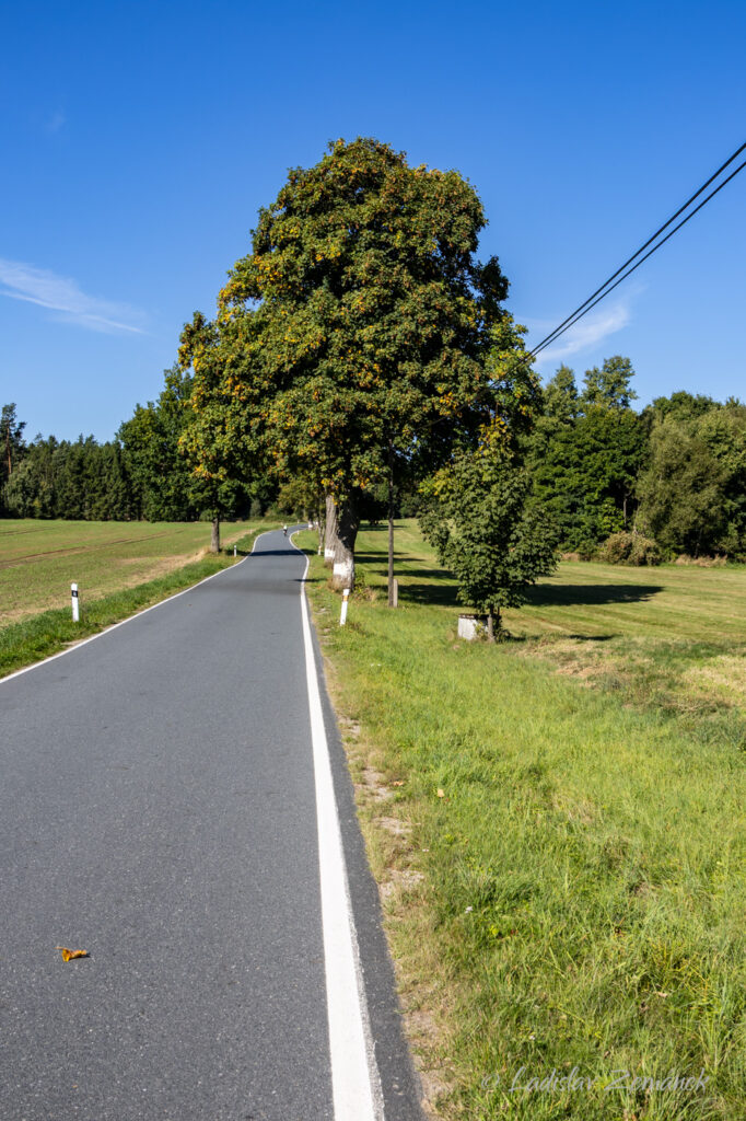 Česk&aacute; Kanada