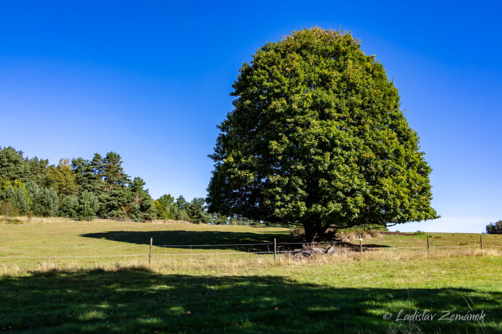 Česk&aacute; Kanada