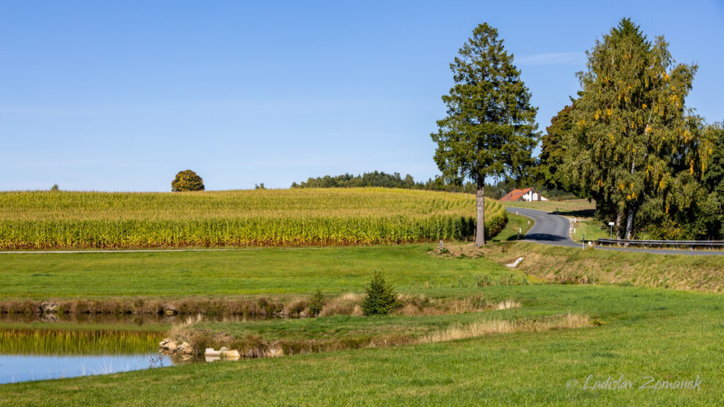 Rakousk&aacute; krajina jižně od Nov&eacute; Bystřice