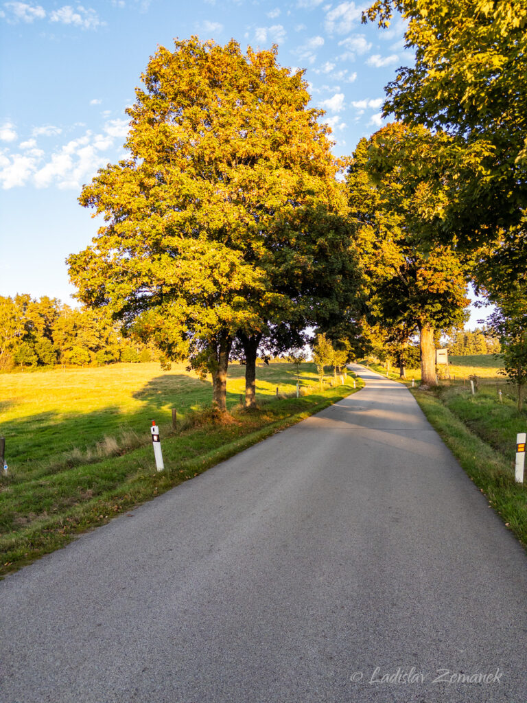 podvečer u Nov&eacute; Bystřice