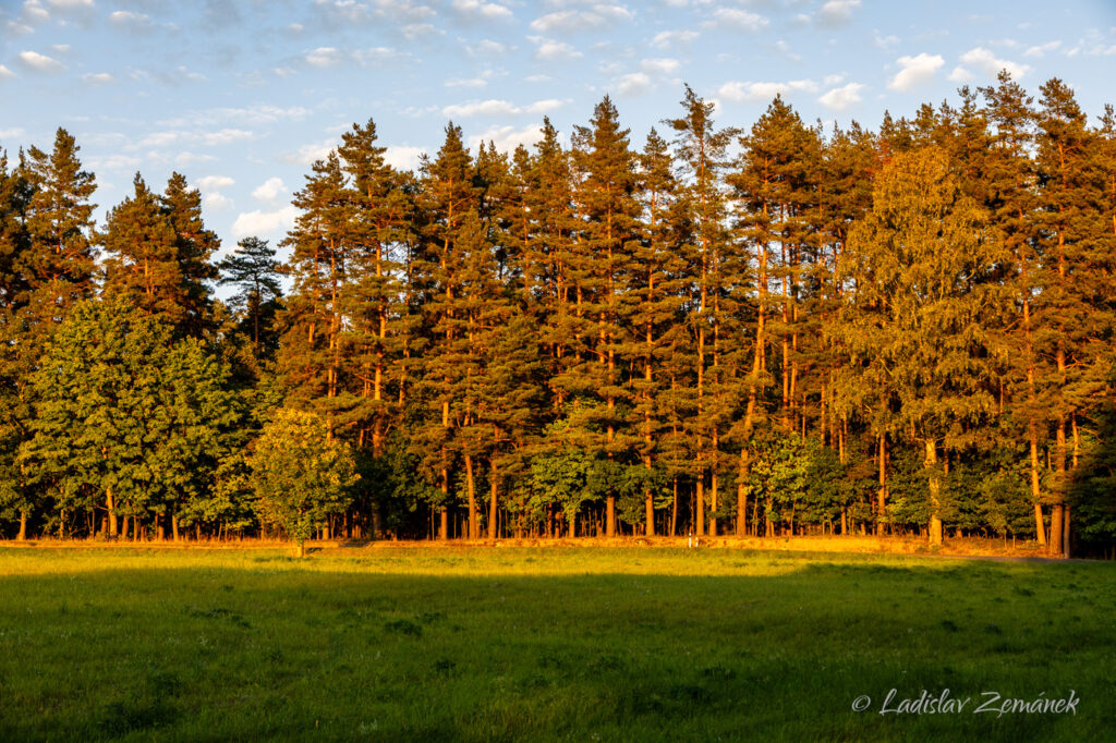 podvečer u Nov&eacute; Bystřice