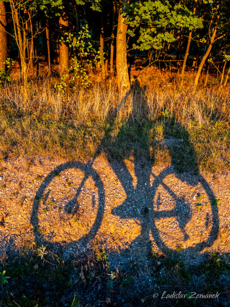 cyklistův autoportr&eacute;t :-)