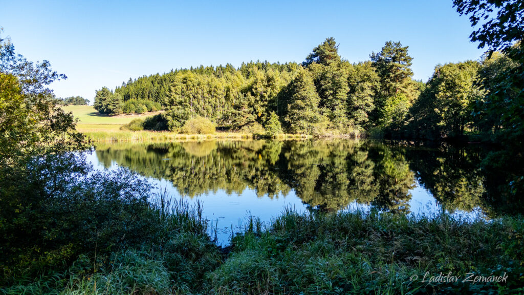 Stoječ&iacute;nsk&yacute; rybn&iacute;k