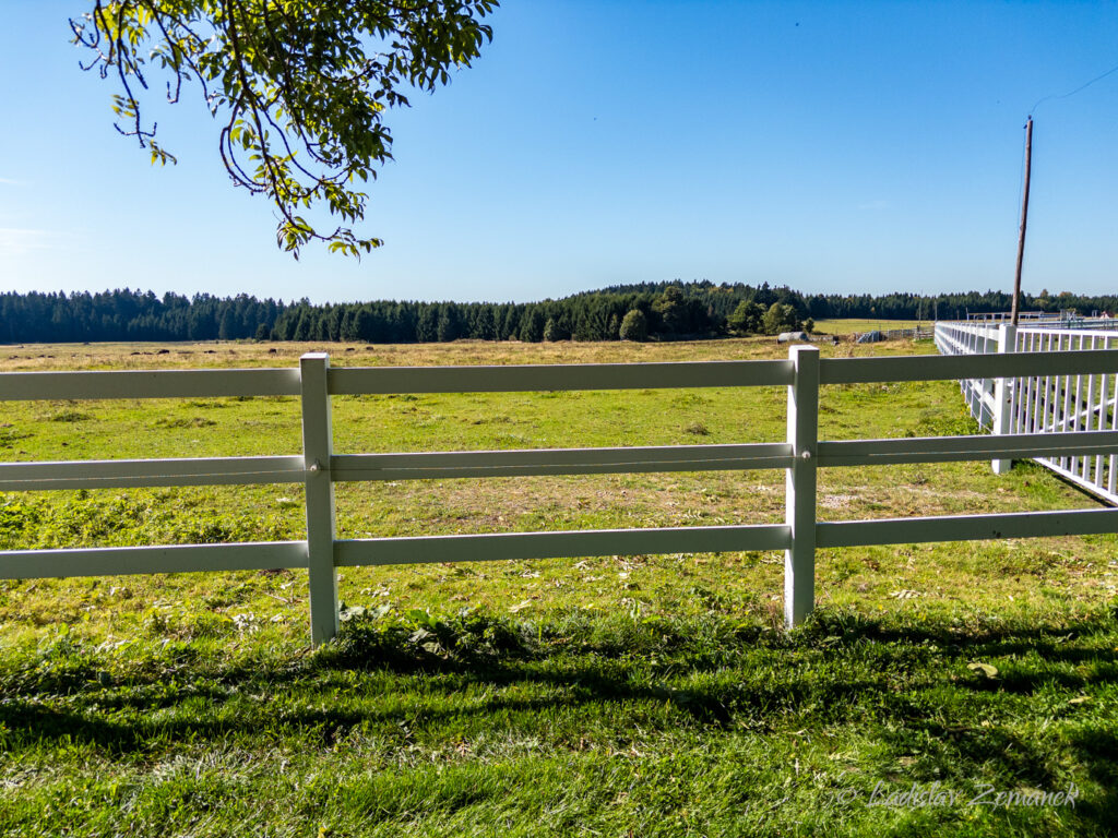Rožnov - bizon&iacute; farma