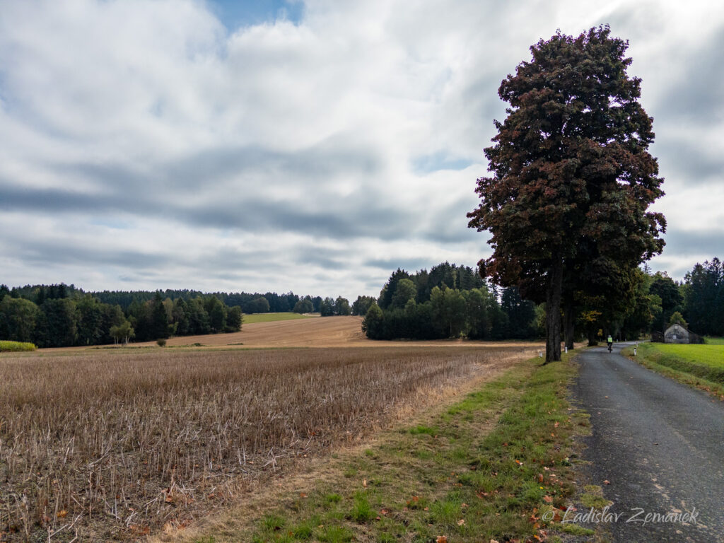Krajina v okol&iacute; Reingers