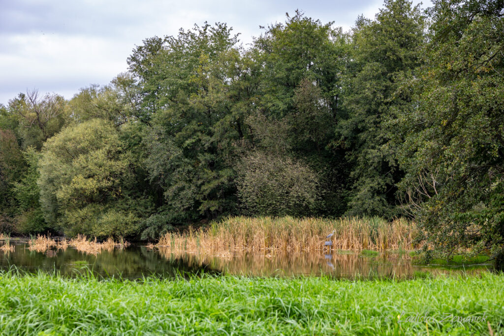 b&yacute;val&aacute; hraničn&iacute; obec Le&scaron;tnice