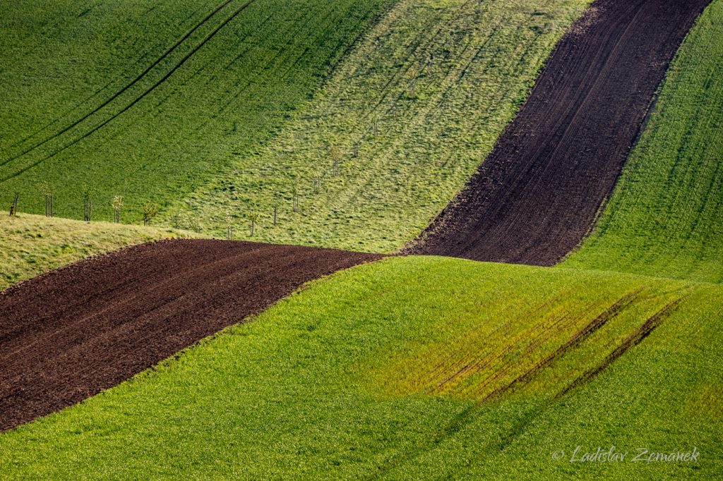 Vlna