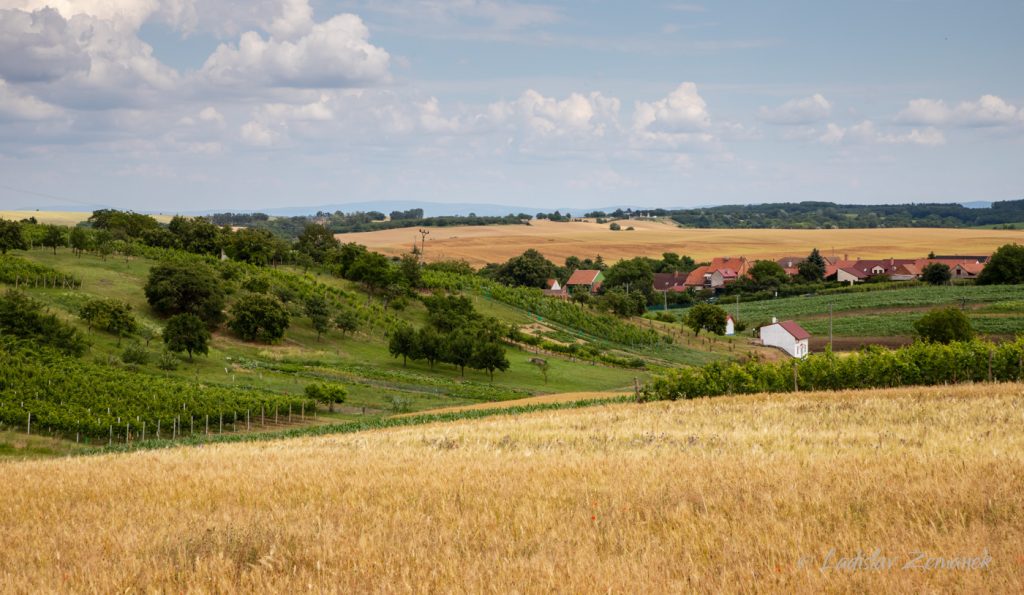 Moravsk&eacute; Tosk&aacute;nsko - Hovorany